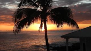 Hale Moana Kona - Kailua-Kona - 6