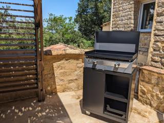 Le grand chêne vert - Bagnols-sur-Cèze - 6