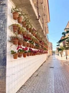 Casa Naranja - Los Alcázares - 2
