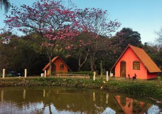 Pousada Rural Vargem do Cedro - Belo Vale - MG - Belo Vale - 0