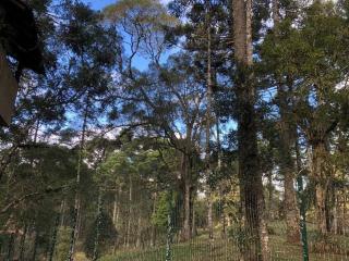 WolfsHaus sua família feliz junto à natureza - 5