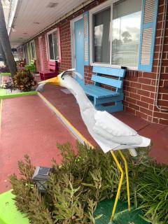 Seahorse Inn - New Smyrna Beach - 5