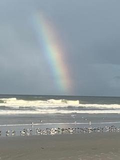 Seahorse Inn - New Smyrna Beach - 4
