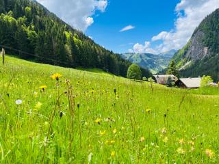 Chalet Tavernier - Morzine - 7