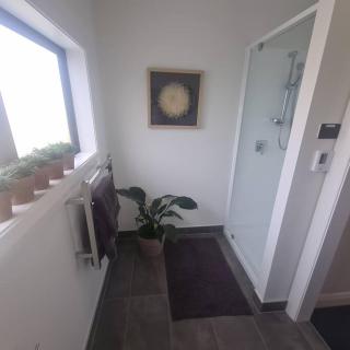 Apartment 3 - Haddin Court - Industrial Glam - Blenheim - 2