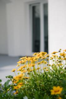 Apartman Rafael - Murter - 5
