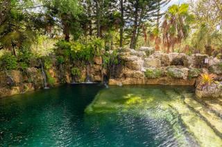 The Lake House Mia Natural Pool Wellness Center Pool Table Ping Pong Family - Homestead - 9