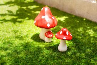 Lilliput Garden - Città di Rodi - 3