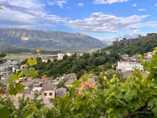 Thimjos & Ritas Guesthouse - Gjirokastër - 9