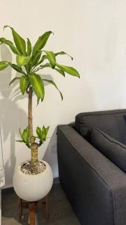 Departamento Rufino - 5