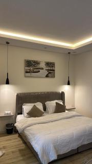 استديو انيق بدخول ذاتي - Riyadh - 3