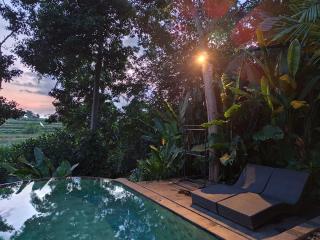 Sunset Shade Villa - Ubud - 3