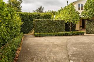 Nestled amongst nature in Havelock North - Havelock North - 4