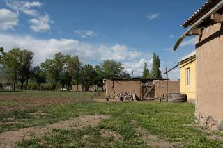 Dastans Homestay, Bed and Breakfast & Horse riding - 5