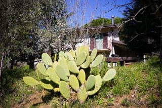 Verzura Bed and Breakfast - - 6