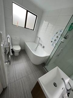 Ellerslie central - Auckland - 1