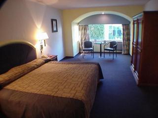Hotel Gran Plaza & Convention Center - Guanajuato - 5