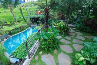 OMantra Home Bali - Singaraja - 2