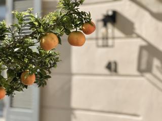 Sweet Menaggio - Menaggio - 1