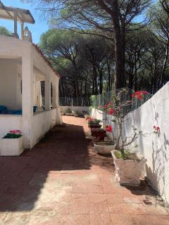 Splendid villa a stones throw from the sea - Santa Lucia - 6