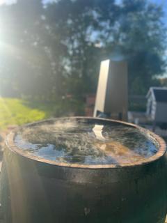 Bluebell Tent at Ballyward Croft - 8
