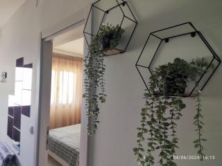 Orion Room - Nea Roda - 3