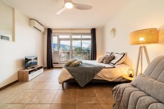 Le Cosy Vue Montagne - Saint-Denis - 9