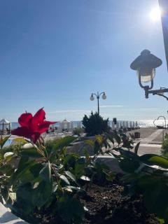 Happy kids' vacation home - 4