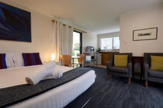 The Baby Penguin - Bicheno - 1