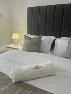 Jabali Suites - Kisumu - 5