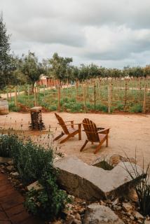 Hábimo - Valle de Guadalupe - Valle de Guadalupe - 8