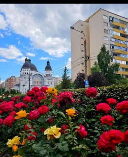 Naty's Place! - Sibiu - 8