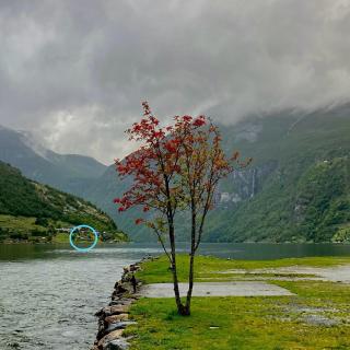 Fjorden Campinghytter - Geiranger - 5