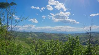 Il Biru - Montelupo Albese - 8