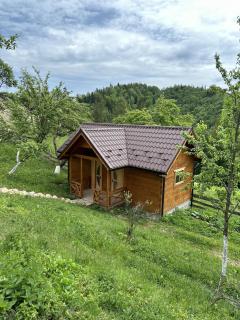 Budz Яворів - Palyanytsya - 3
