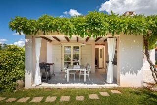 Beautiful Villa GF25 with pool in Visnjan - Višnjan - 9