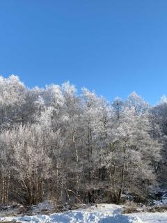 Ferienwohnung Schneider - Kölpinsee - 2