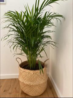 Maison bord de mer avec jacuzzi - 2