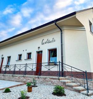 Penzion Pawlowitz - Velké Pavlovice - 9