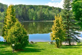 Green Harmony - Antalgė - 9