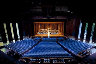 New Season Royals, Airport West - 1