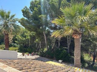 Chalet Valencia - Alicante - 1