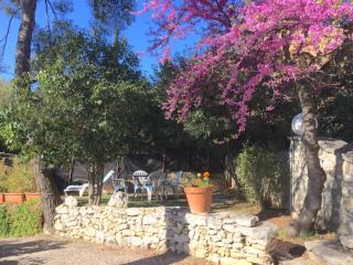 Appartements avec jardin dans Villa Rocaille - Cassis - 6