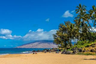 Kihei Akahi D-510 condo - Wailea - 9