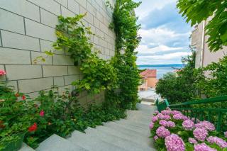 Apartments and rooms by the sea Brela, Makarska - 2752 - Brela (Brella) - 3