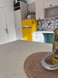 Maison type 4 et jardin spacieux - 6