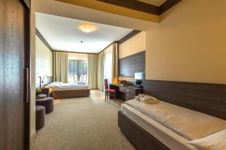 Wellness Hotel Jason - Vršatské Podhradie - 2