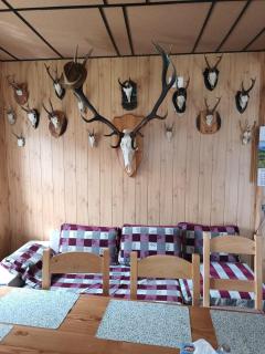 Casa Vanatorului Buzaiel - Vama Buzăului - 0