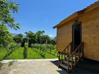 Orion Cottage - Batoemi - 8