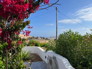 Casa das Malvas - Porto Santo - 8